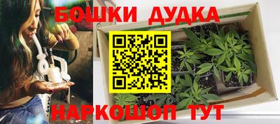 СК Абакан