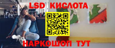 СК Абакан