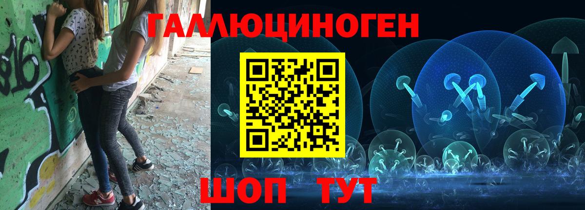 Псилоцибиновые грибы Psilocybine cubensis  Вход с VPN  Алейск 